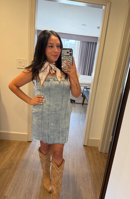 Giddy Up Demin Dress